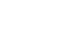 443 Logo